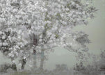 Wall Art Spring