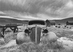 Wall art Bodie State Historic Park