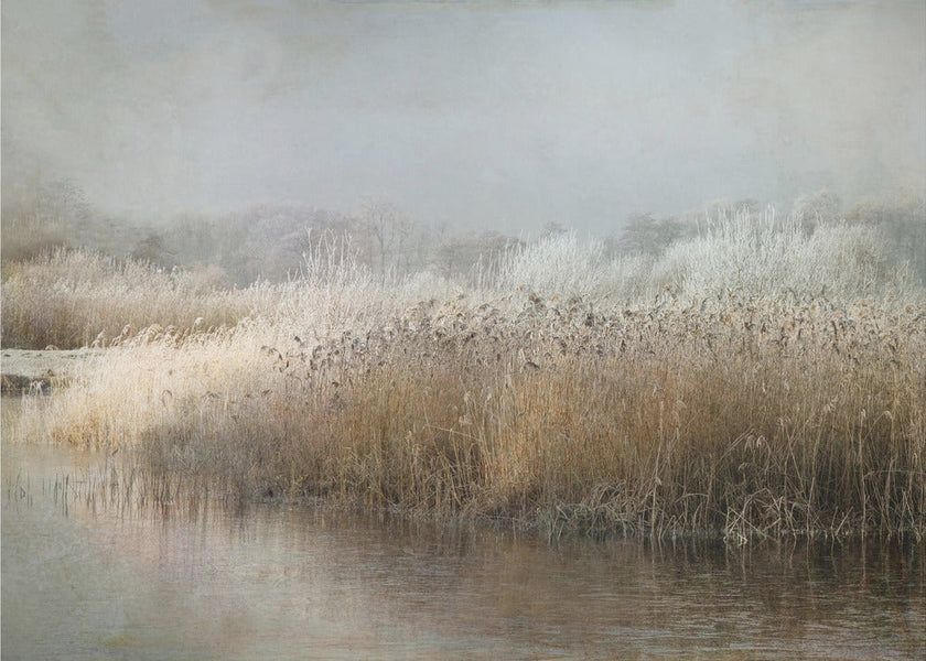 Wall art Wintermorning