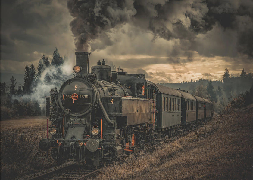 Wall Art Train de l'or (Gold digger train)
