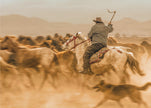 Peinture murale : Chevaux sauvages (aussi appelés Yılkı Atları)