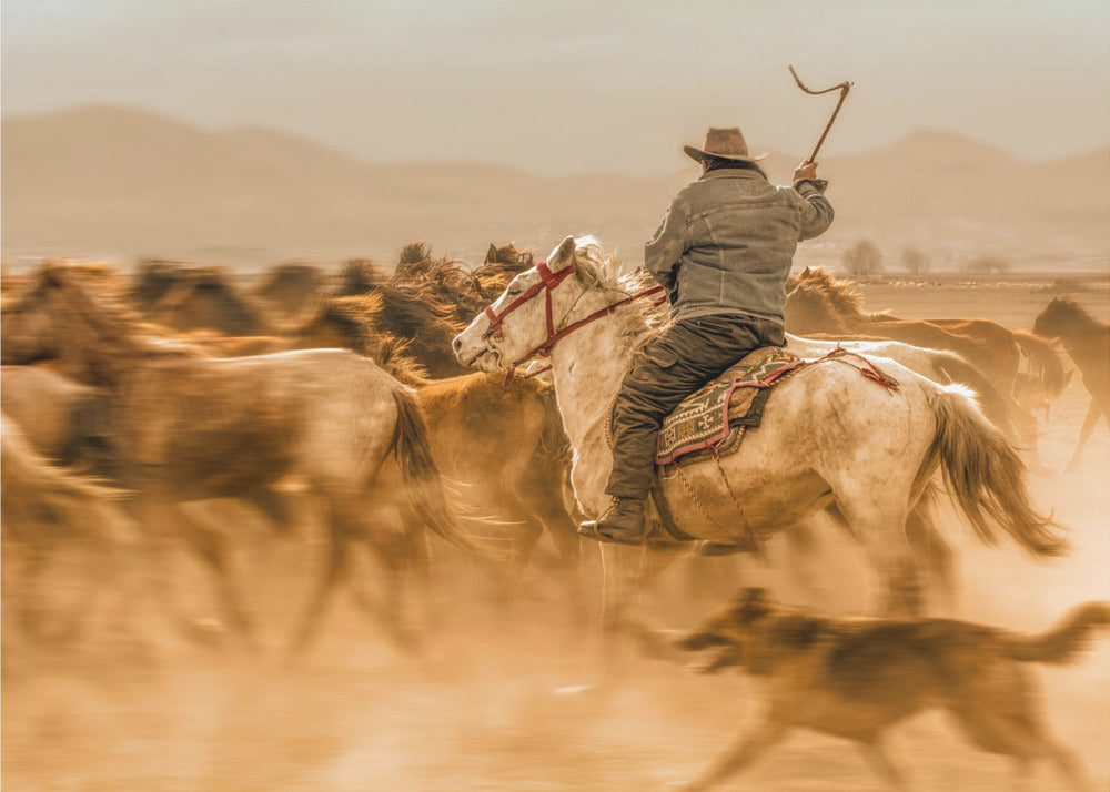 Peinture murale : Chevaux sauvages (aussi appelés Yılkı Atları)