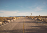 Wall Art Joshua Tree Road