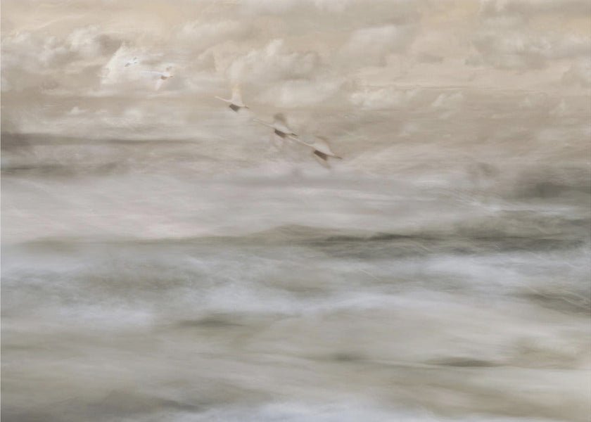 Wall art Swans over sea
