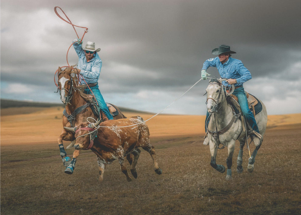 Team Roping (ou lasso de groupe)