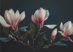 Wall art Magnolias charmants 25