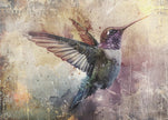 Illustration murale Oiseaux Animaux Art Vintage Wallart 11