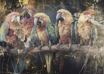 Wall art Parrot Animal Vintage Art Illustration Wallart 10