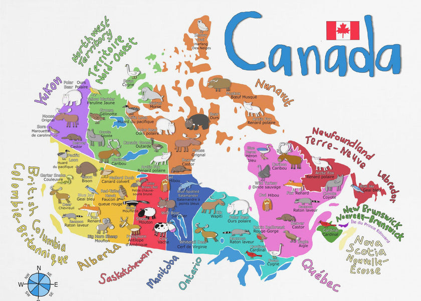 Carte illustrée du Canada avec des animaux, par Carla Daly, pour décoration murale.