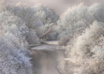 Wall art Winter Song Canvas Print