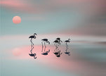 Flamants roses de Wal Art Family.