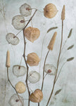Lanterns*