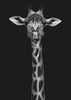 Portrait de girafe pour décoration murale