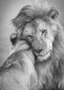 Impression sur toile : Wall art African Love !