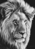 Wall art Leo II