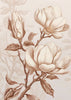 Décoration murale Fleurs Beige 1