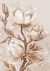Fleurs Beige 2