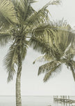 Art mural FLORIDA Heavenly Place | Vintage