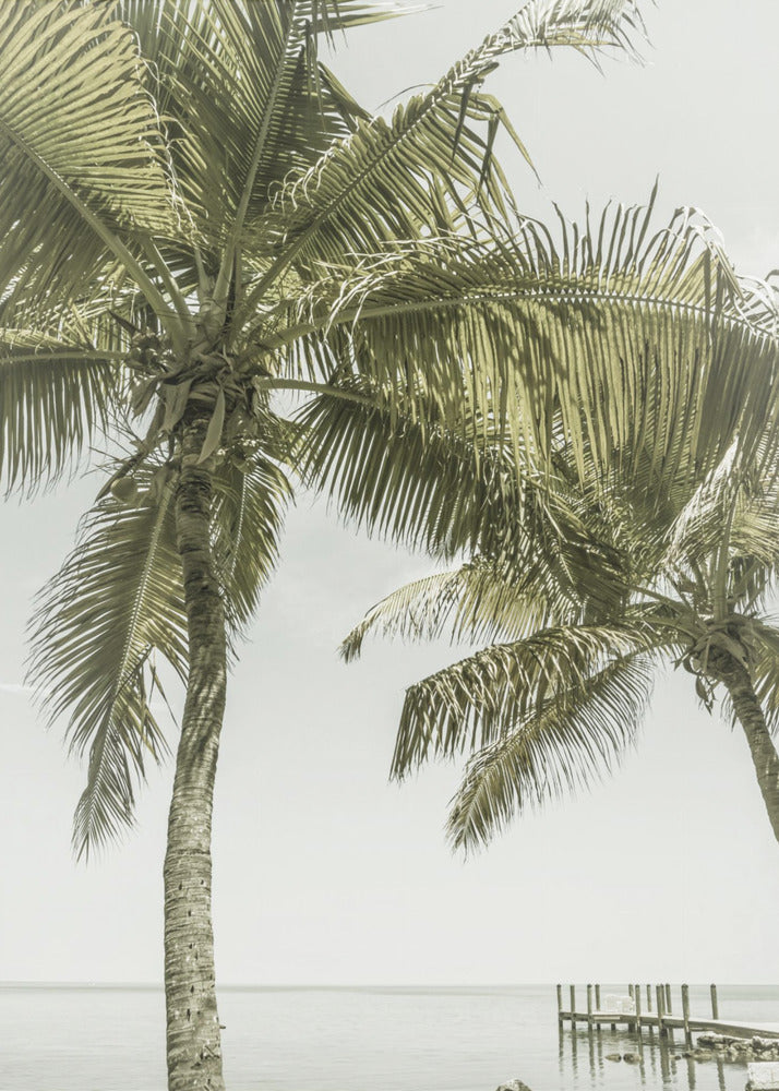 Art mural FLORIDA Heavenly Place | Vintage