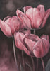 Wall art Purple Tulip 3