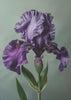 Wall art Iris Fl 10