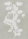 Wall art Botanical Illustration 4