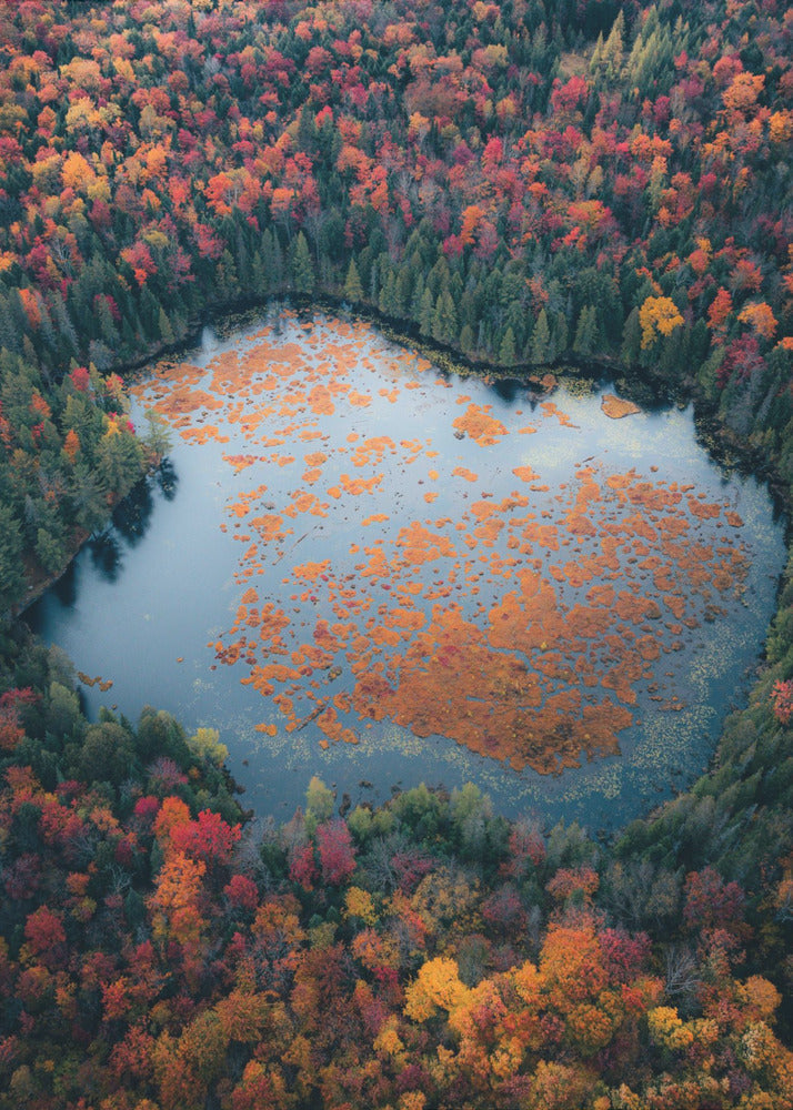 Art mural Automne au bord du lac