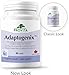 Provita - Adaptogenix (90 vcaps)