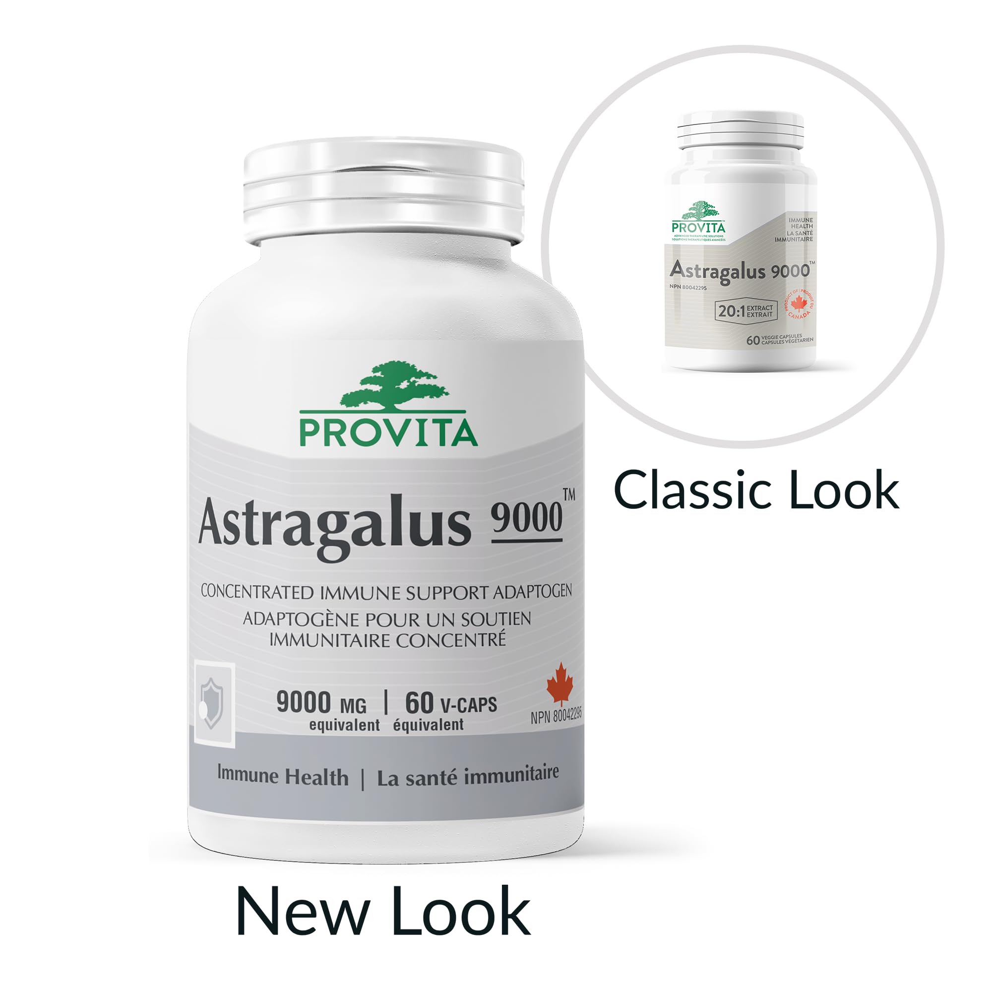 Provita - Astragalus 9000 (60 caps)