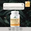 Provita - Berberine TPGS (60 caps)