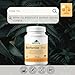 Provita - Berberine TPGS (60 caps)
