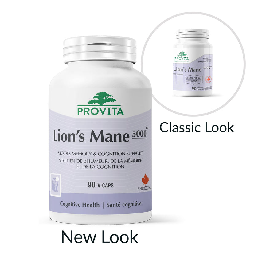 Provita - Lion's Mane 5000 (90 caps)