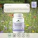 Provita - Magnesium Threonate (90 vcaps)