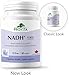 Provita - NADH+ (30 vcaps)