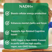 Provita - NADH+ (30 vcaps)