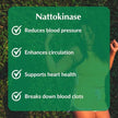 Provita - Nattokinase 2000FU (60 DR vcaps)