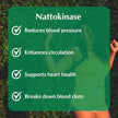 Provita - Nattokinase 2000FU (120 vcaps)
