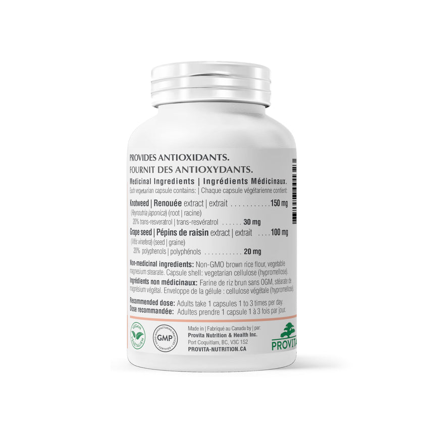 Provita - Resveratrol Forte 90 caps - Provita