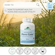 Provita Pro - Ptero Gene (60 vcaps)