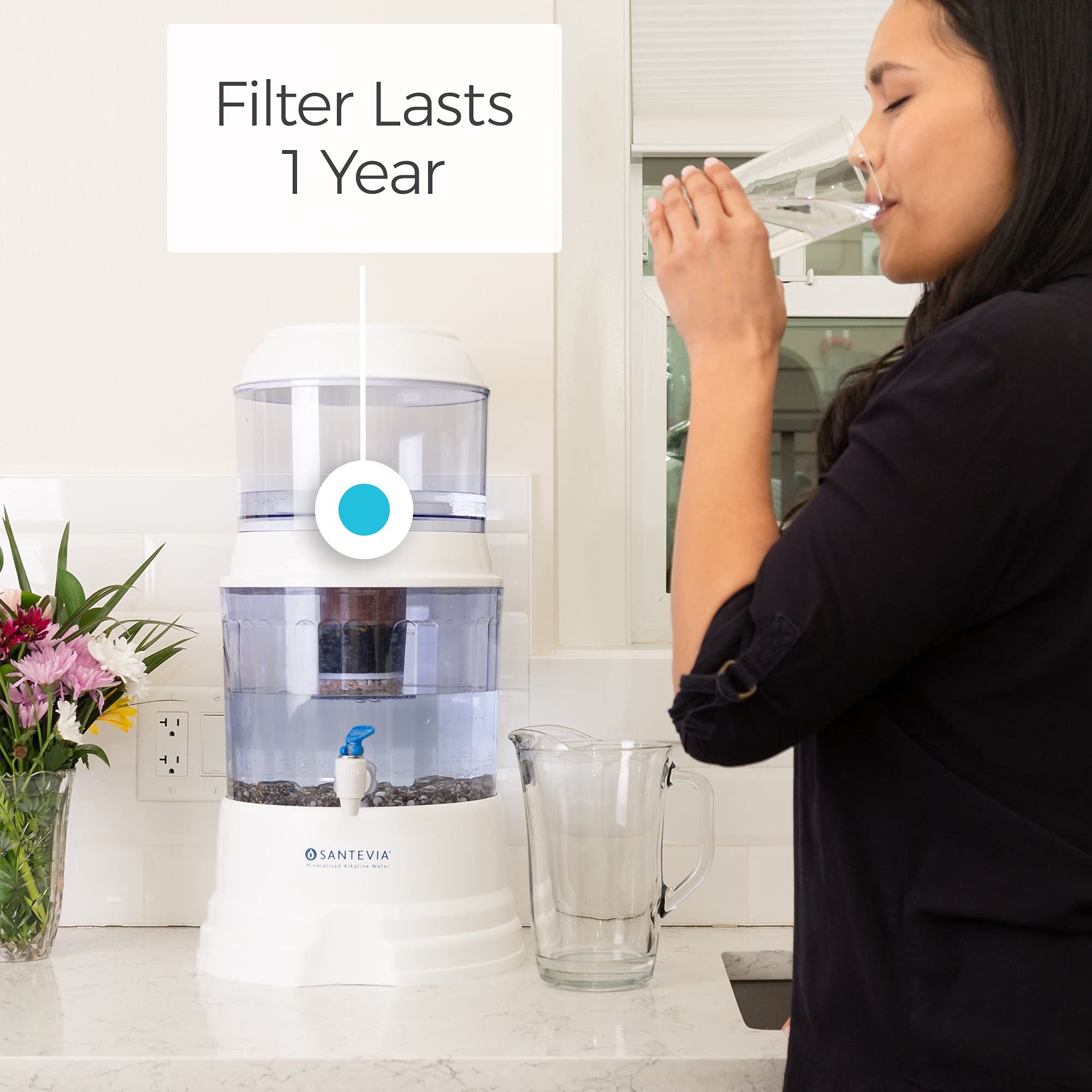Santevia Systems - Ceramic Pre-filter