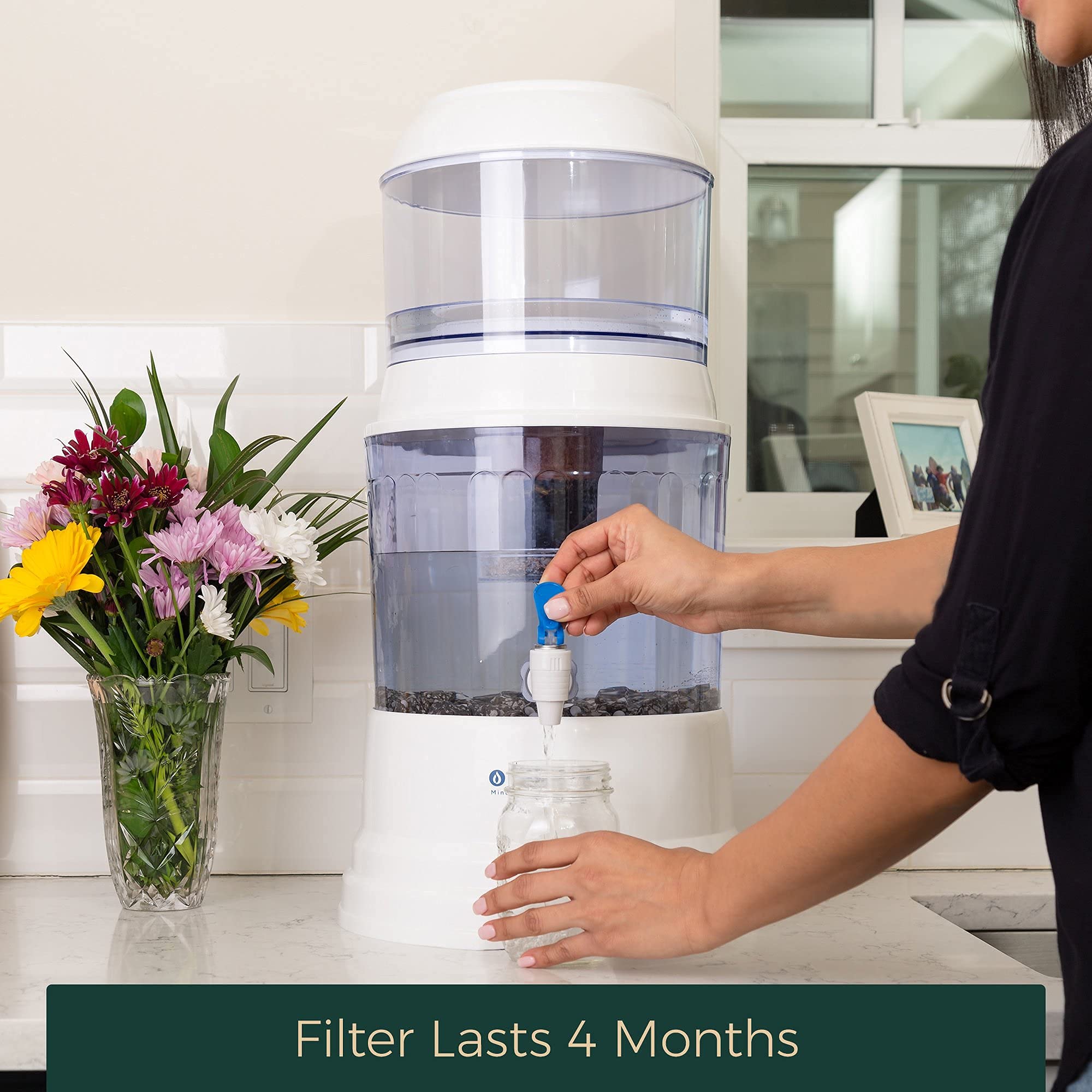 Santevia Systems - Fluoride Filter