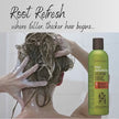 Peter Lamas - Hair Solutions Shampoo (250ml)