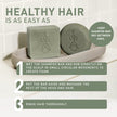 Tanit - Aurore Boréale Shampoo Bar (60g)