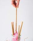 The Future Is Bamboo - Bamboo Straws 6/Pk