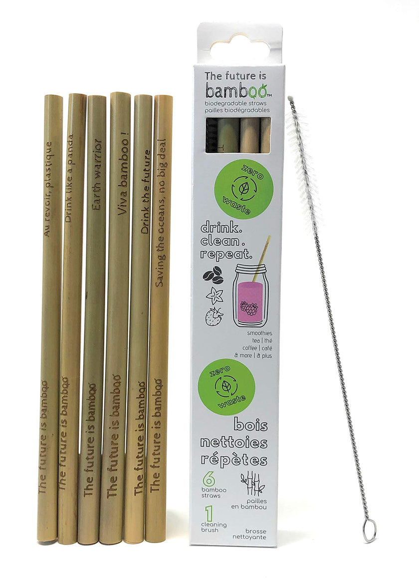 The Future Is Bamboo - Bamboo Straws 6/Pk