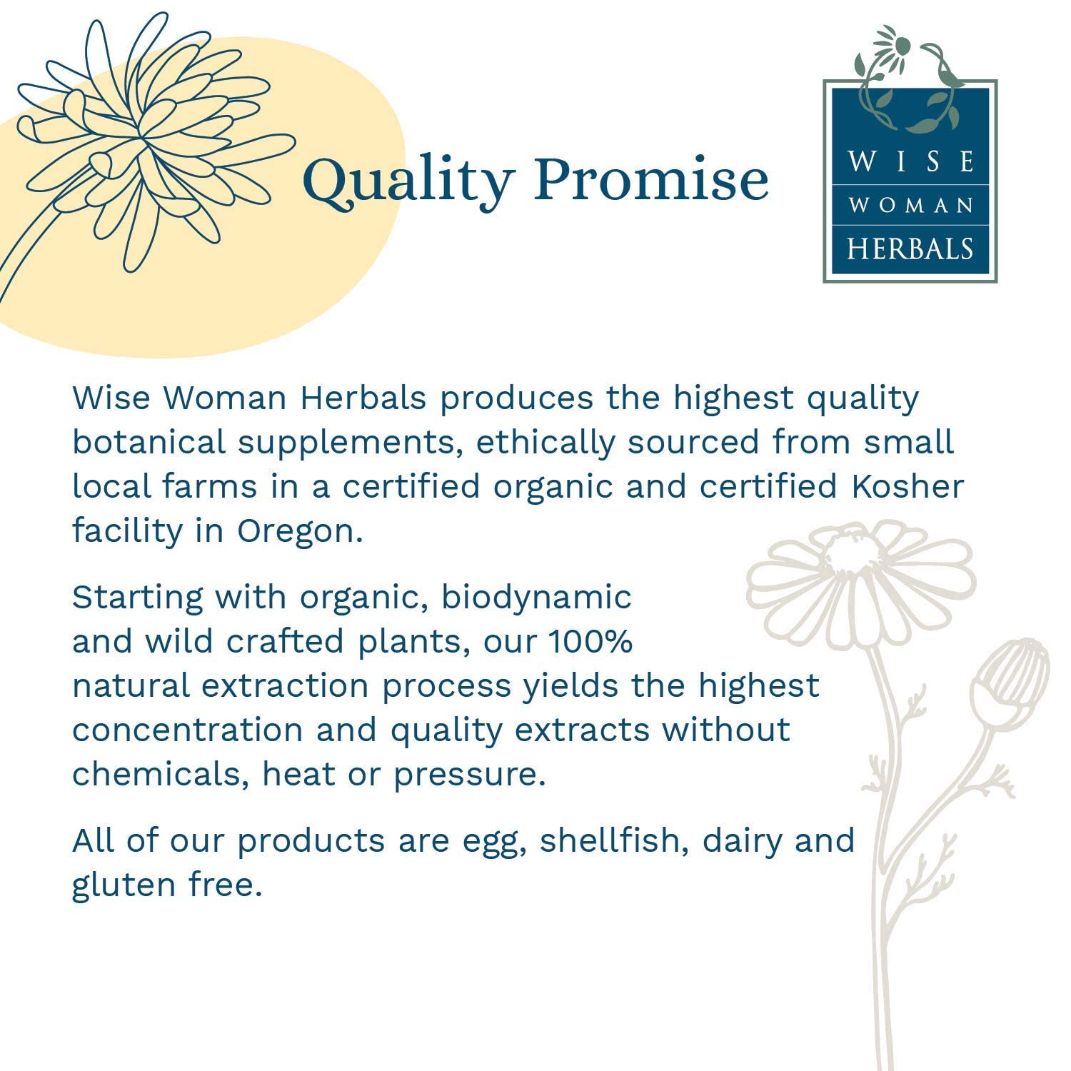 Wise Woman Herbals - Hawthorne SE (224g)