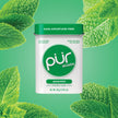 The Pur Company - Mints-Spearmint (30ct,12/tray)