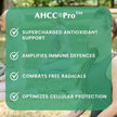 Provita - AHCC Complex 80 caps - Provita
