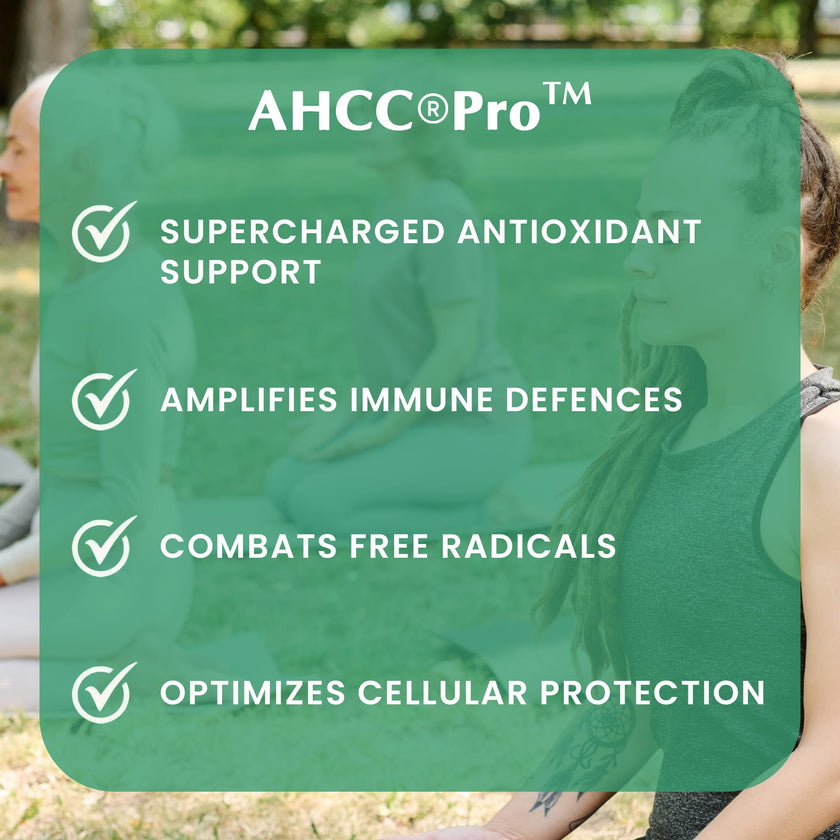 Provita - AHCC Complex 80 caps - Provita