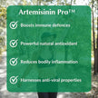 Provita - Artemisinin Forte, 30 caps - Provita - 30